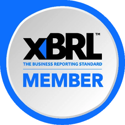 XBRL member
